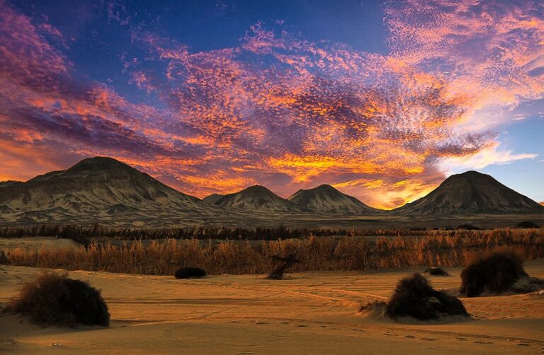 Black Desert