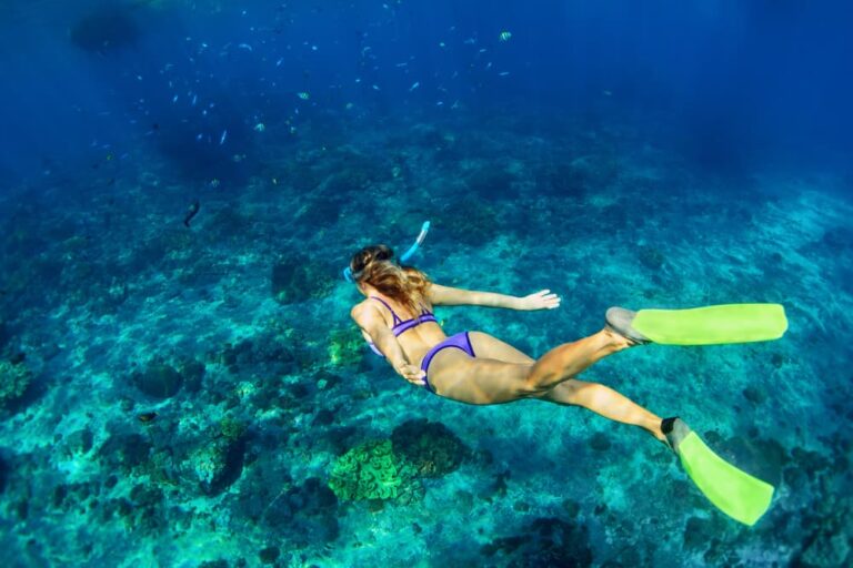 Full Day Snorkeling Trip at Sharm