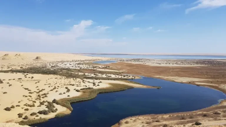 Fayoum Oasis