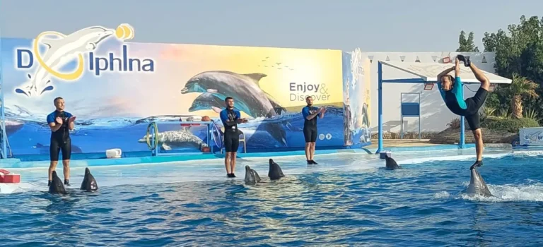 Dolphina