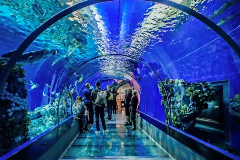 Hurghada Grand Aquarium