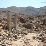 モンスポルフィリテス