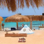 스노클링 당일 여행: 후르가다 니모 베이 해변 🏝️ 🌊