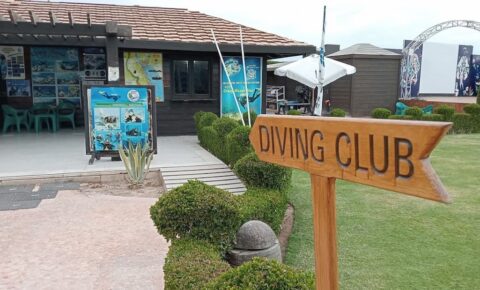 Daily Diving Packages