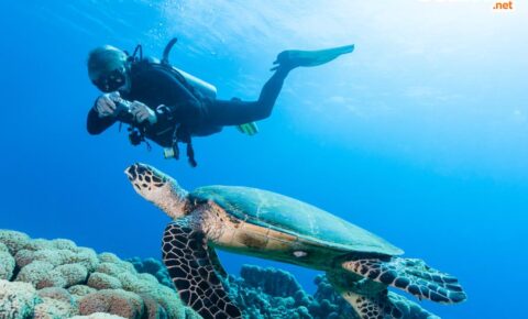 PADI Gevorderd Open Water