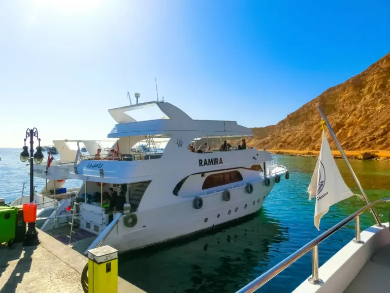 Boat Trips From Soma Bay