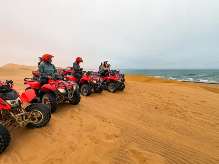Tours From Makadi