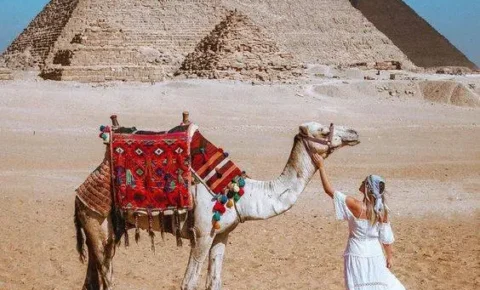 Pyramids Day Tour with 9 Pyramids Lounge Restaurant from Cairo