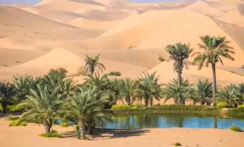 2-Day Cairo to Siwa Oasis Trip