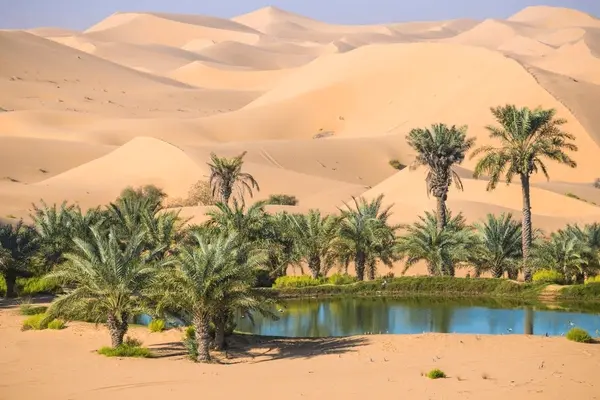 Siwa Oasis by