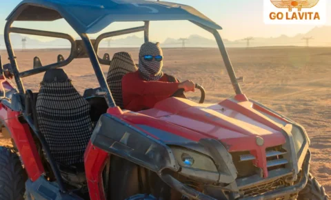 후르가다 선셋 듄 버기 & 쿼드 바이크 투어