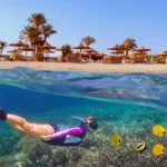 Excursion de snorkeling à Marsa Mubarak au départ de Marsa Alam