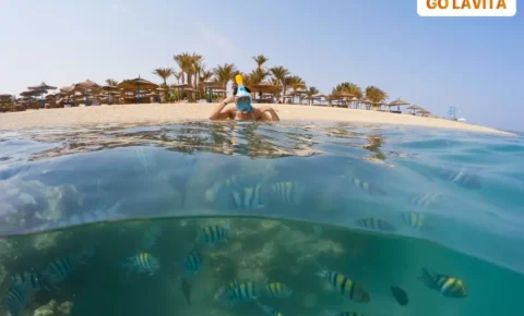 Marsa Mubarak Snorkeling Trip from Marsa Alam