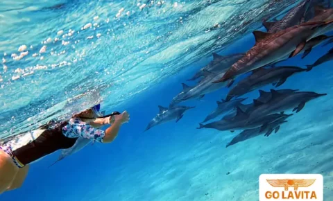 Sataya Reef Snorkeling trip from Marsa Alam