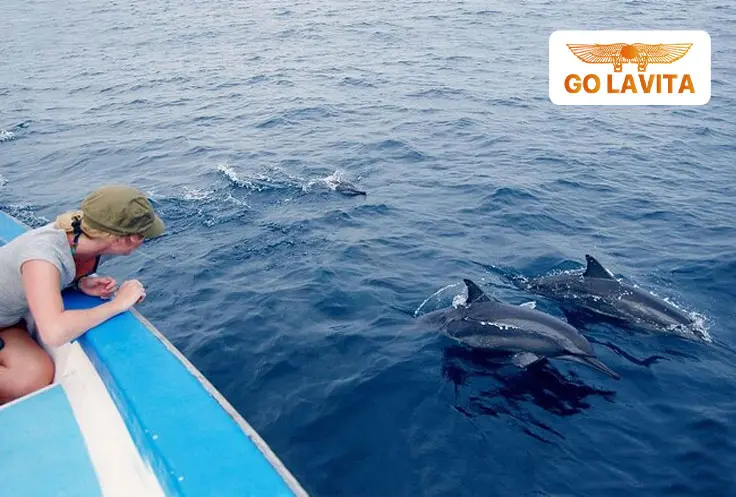 Dolphins House Hurghada Egypt