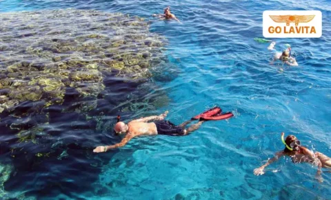 Sataya Reef Snorkeling trip from Marsa Alam