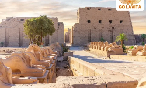 Private Day Tour From Soma Bay to Luxor
