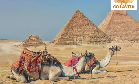 11-Day Exploration: Cairo Alexandria Luxor Aswan Bahariya Oasis