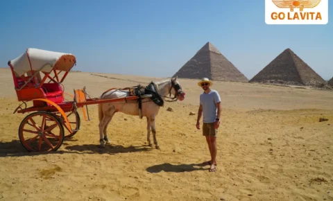 Fly to the Pyramids: Cairo Day Tour from Hurghada