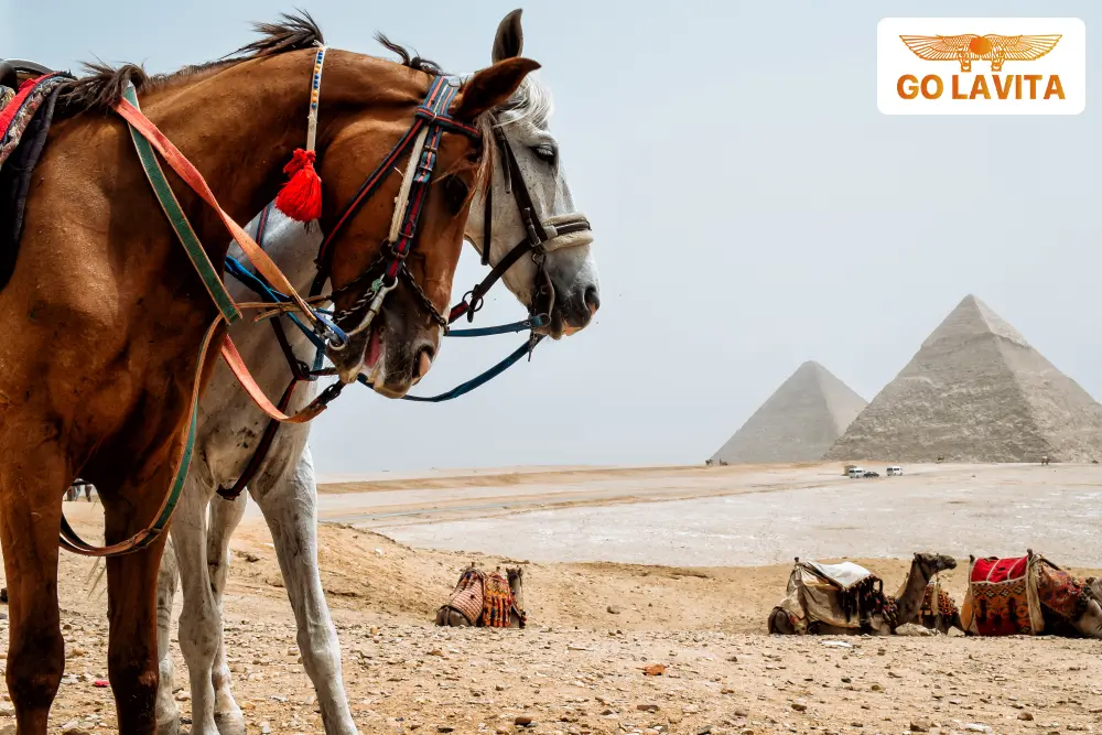 All-Inclusive Holidays to Cairo, Egypt