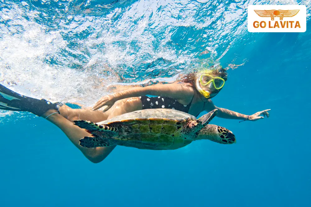 Full Day Snorkeling Trip at Sharm