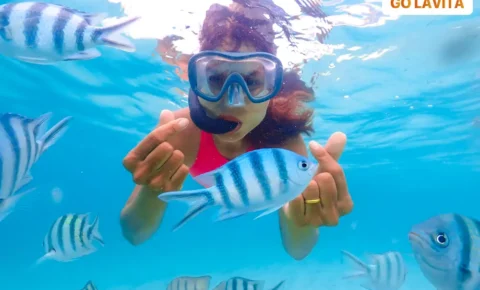 Snorkeling Trip to Ras Mohammed from Sharm El Sheikh