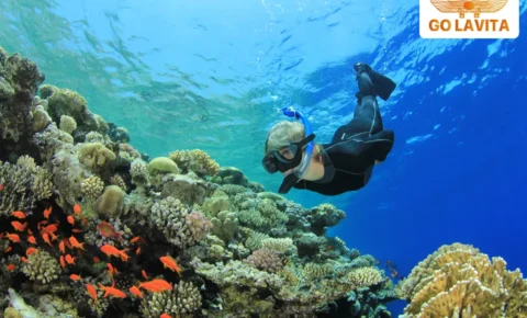 Snorkeling Trip to Ras Mohammed from Sharm El Sheikh