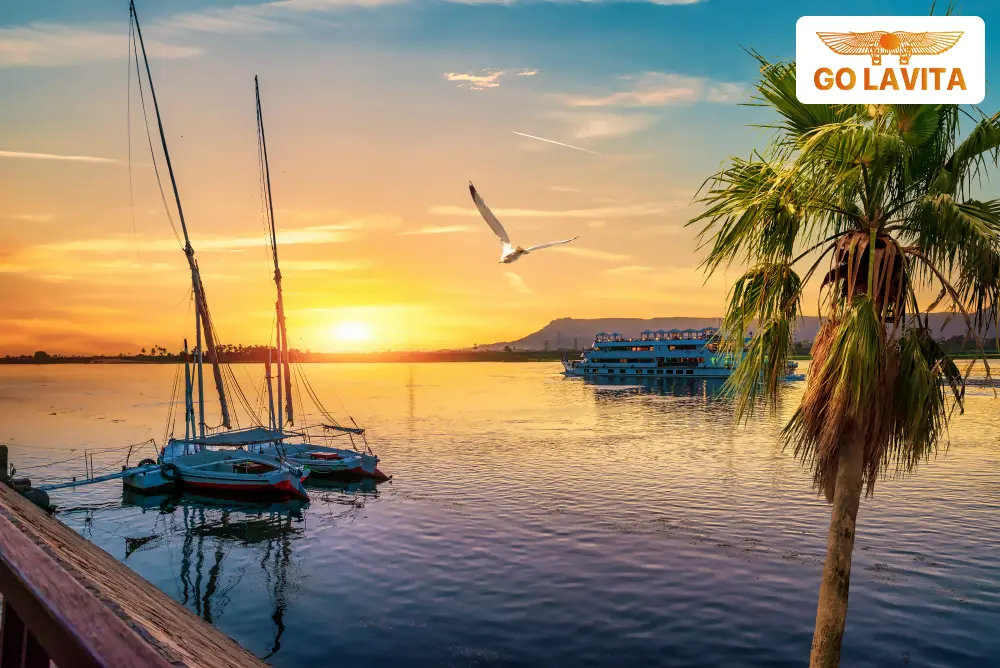Honeymoon Cruise Packages