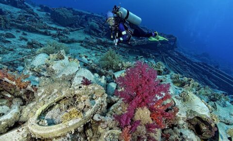 Scuba Diving Tour to Ras Mohamed Sharm El Sheikh
