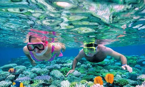 Viaje de esnórquel a Ras Mohammed desde Sharm El Sheikh