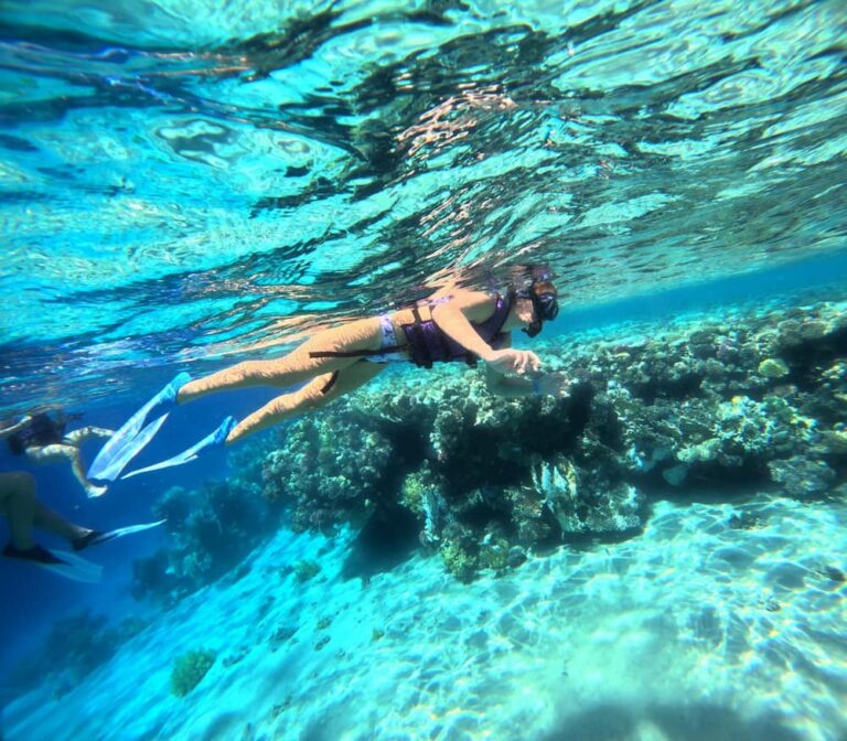 Snorkeling Trip to Ras Mohammed from Sharm El Sheikh