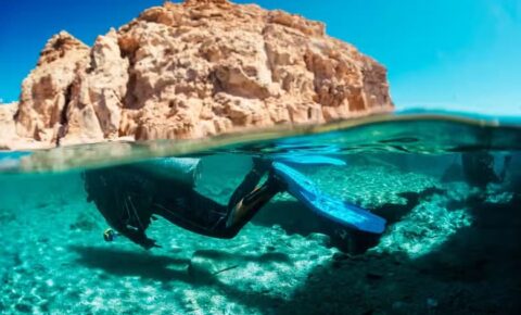 Viaje de esnórquel a Ras Mohammed desde Sharm El Sheikh