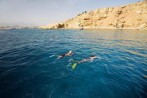 Viagem de Mergulho com Snorkel para Ras Mohammed saindo de Sharm El Sheikh.
