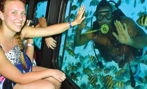 Seascope Submarine Tour from Sharm El Sheikh