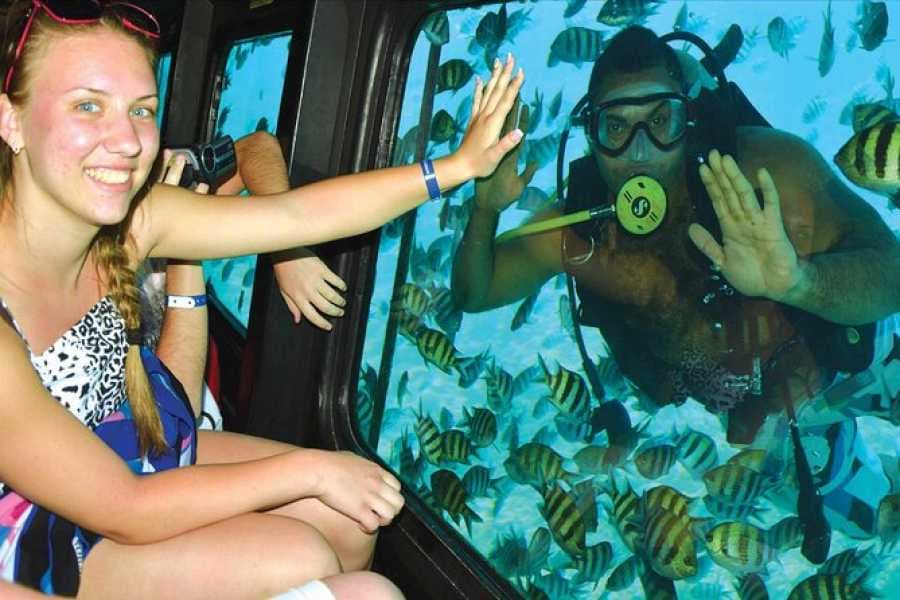 Passeios de Submarino Semissubmersível/Seascope