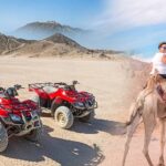Safari dans le désert à Charm el-Cheikh | Excursion en quad et à dos de chameau