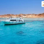 Tiran Island Snorkletur fra Sharm el-Sheikh