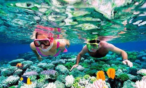 Tiran Island Snorkeling Tour From Sharm El Sheikh