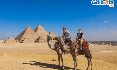 Cairo Day Trip to Pyramids and the Grand Egyptian Museum