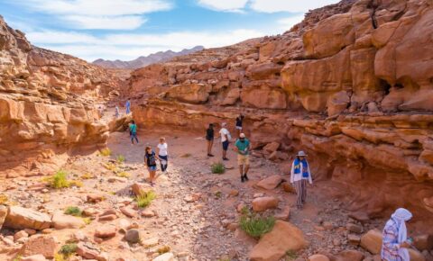 Colored Canyon Trip from Sharm El Sheikh