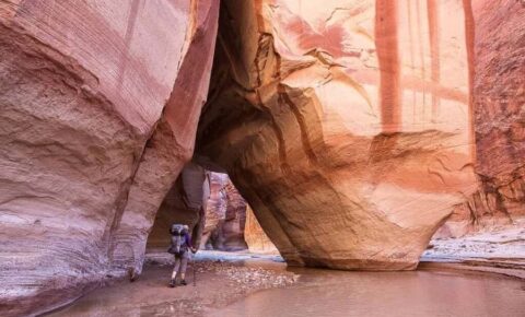 Colored Canyon Trip from Sharm El Sheikh