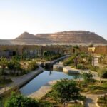 Siwa Oasis Tours from Cairo