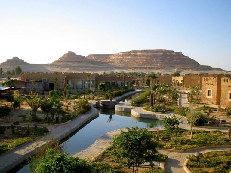 Siwa Oasis Tours from Cairo